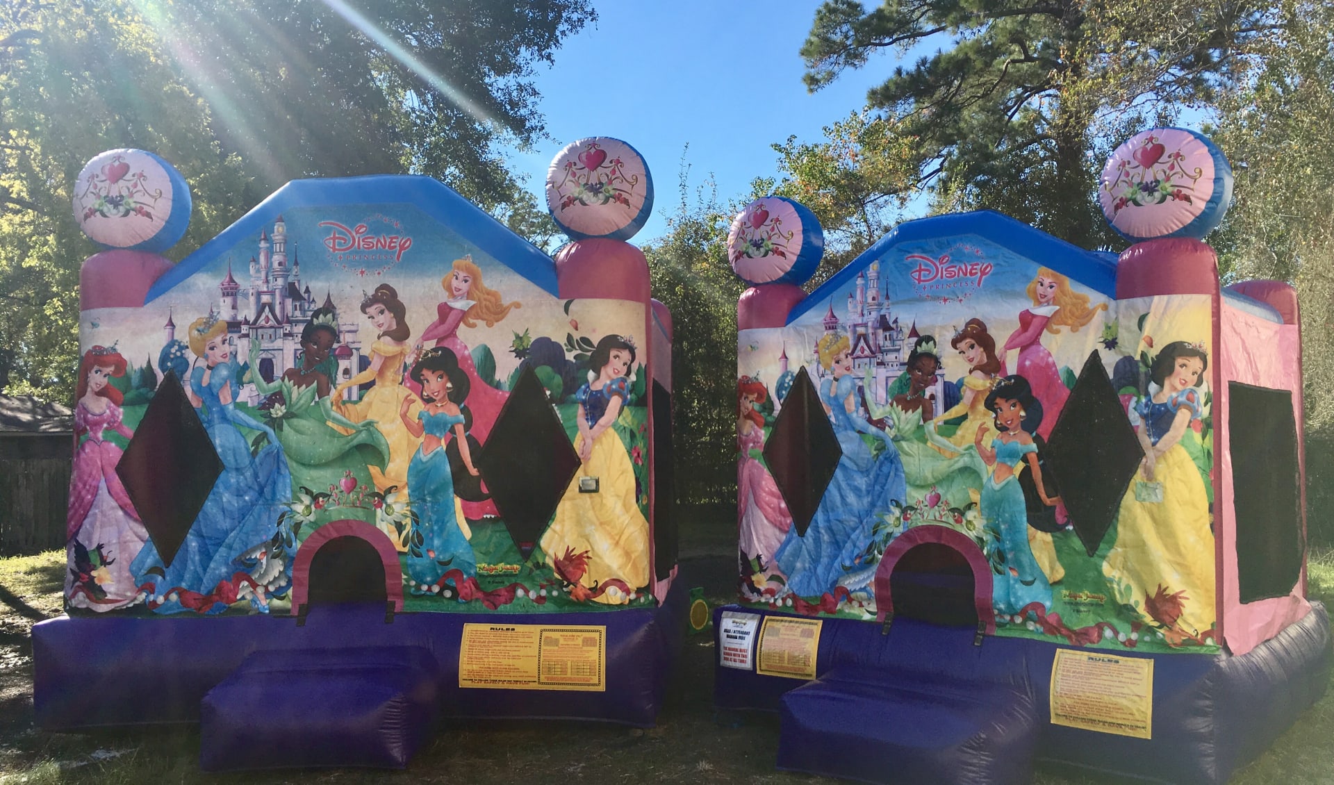 Princess Bouncy Castle for hire