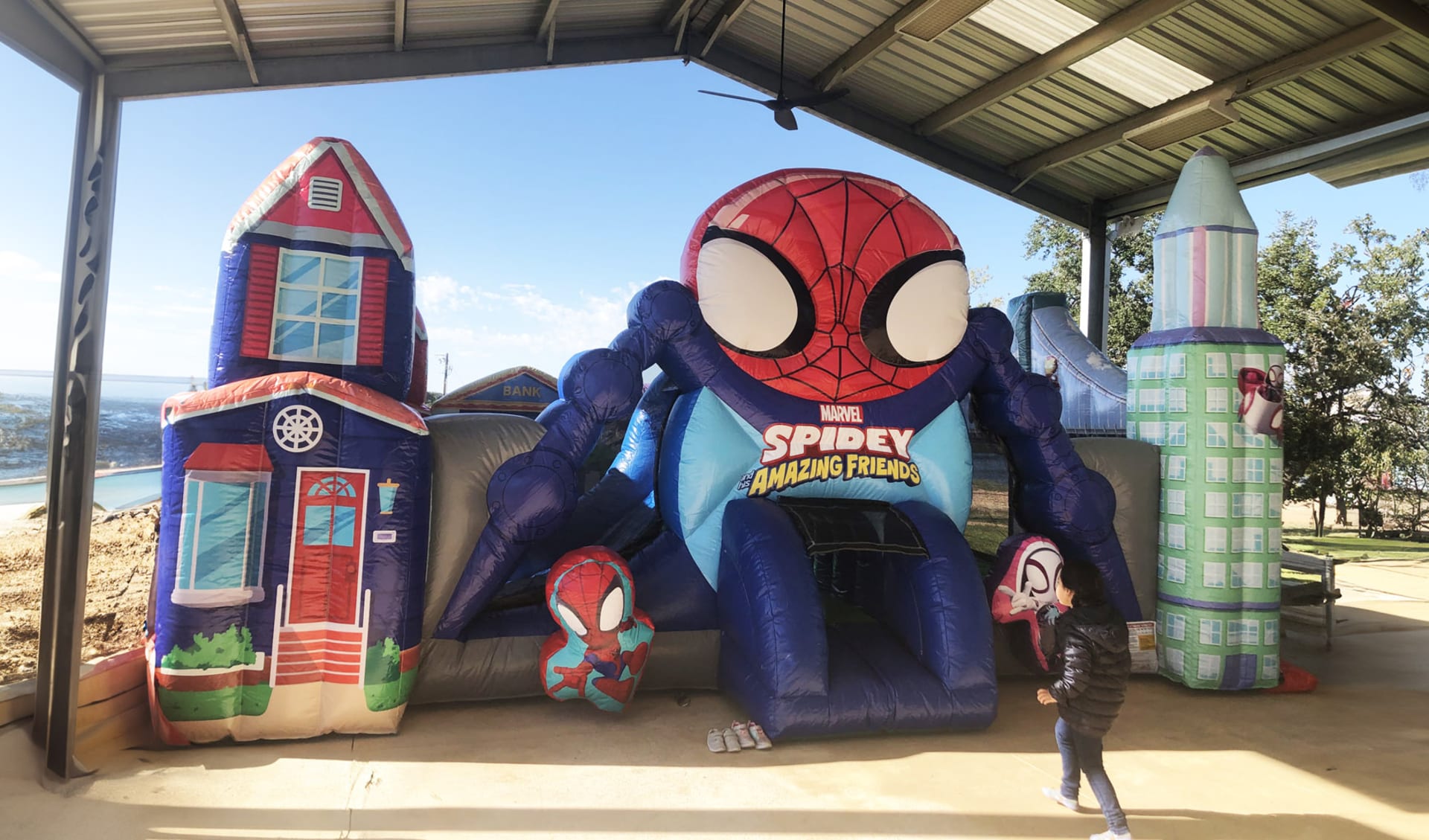 Spidey and Friends Birthday Parties