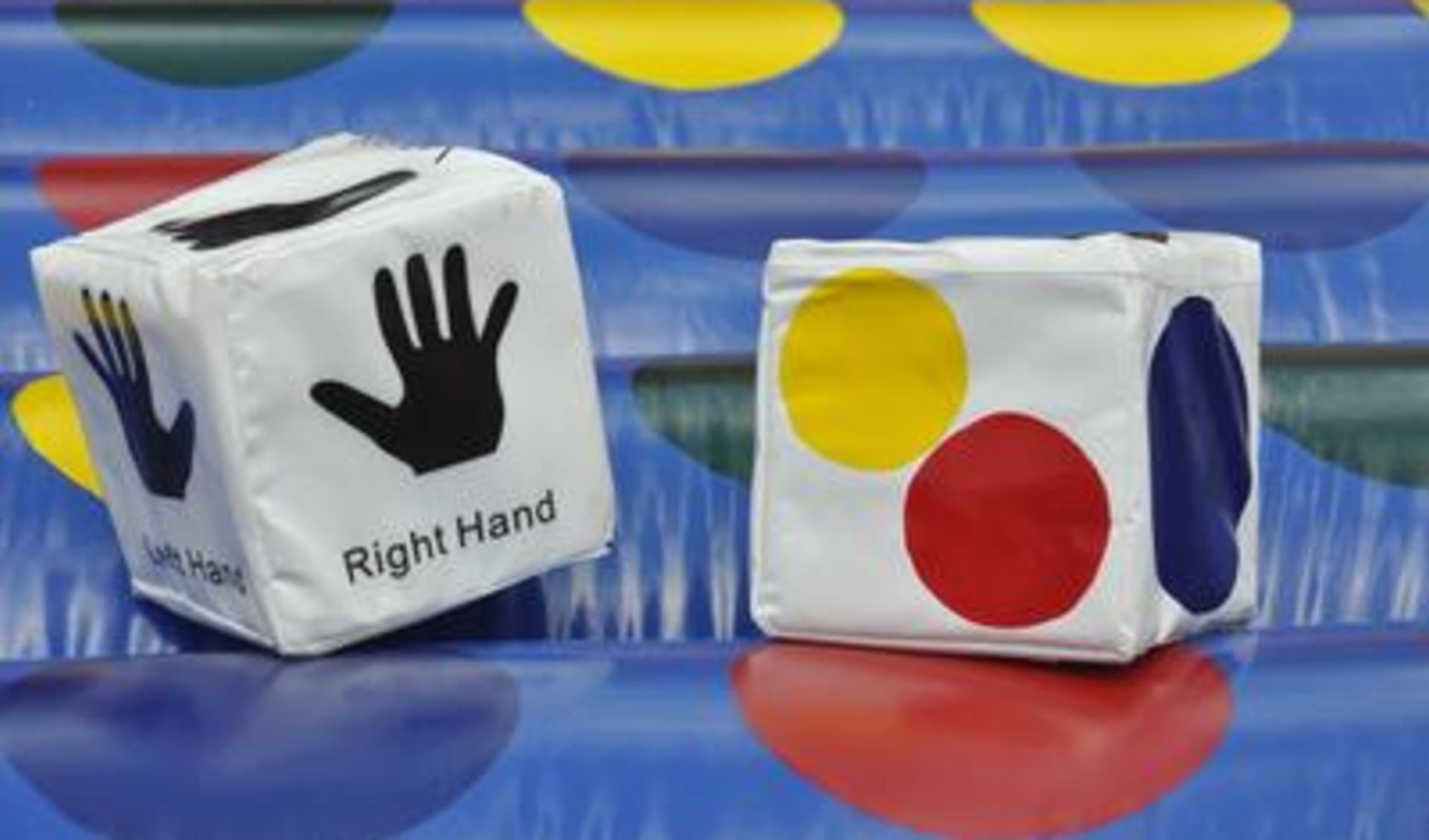 Roll the Dice Twister