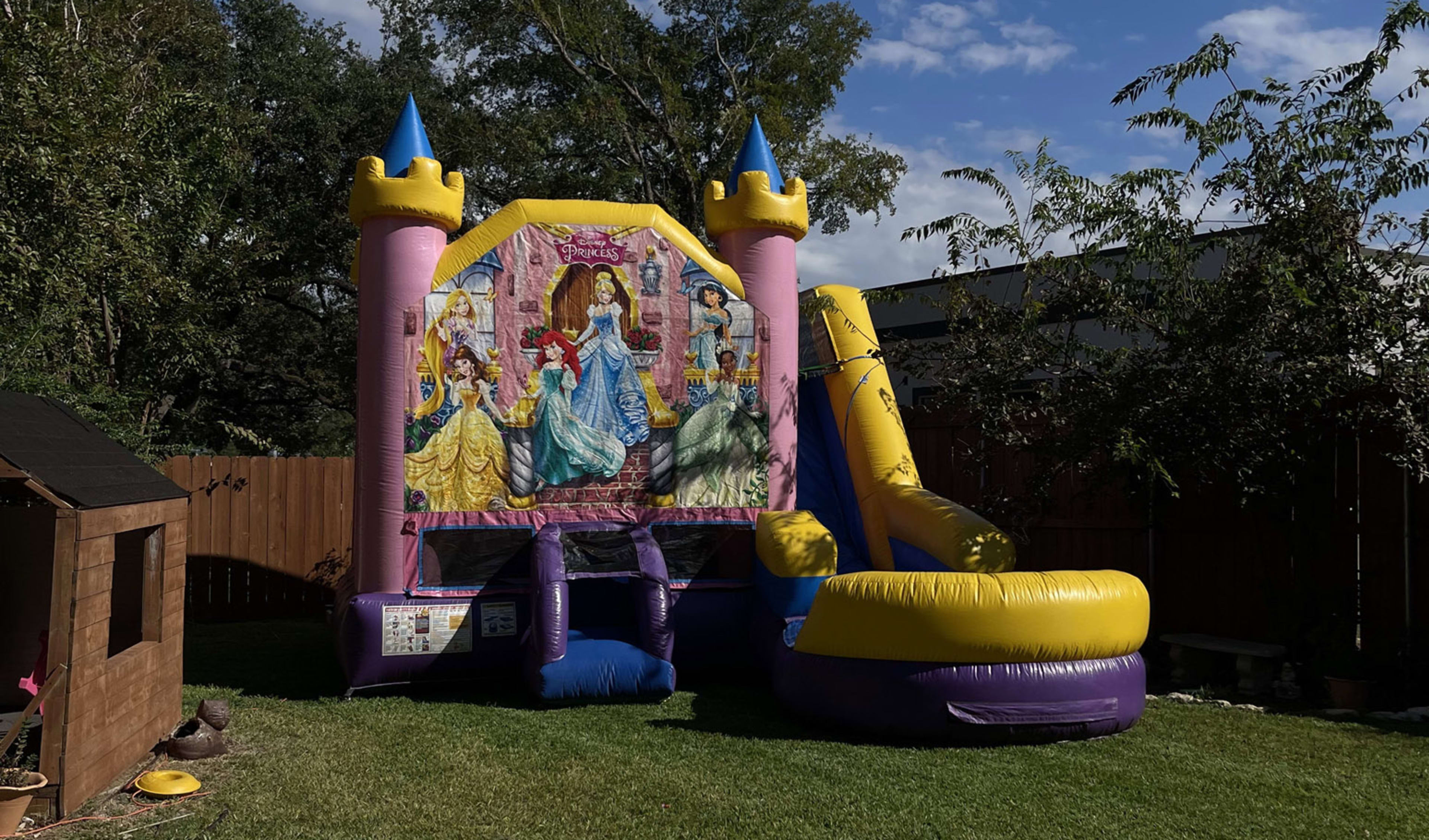 6in1 Princess Bounce House Rental