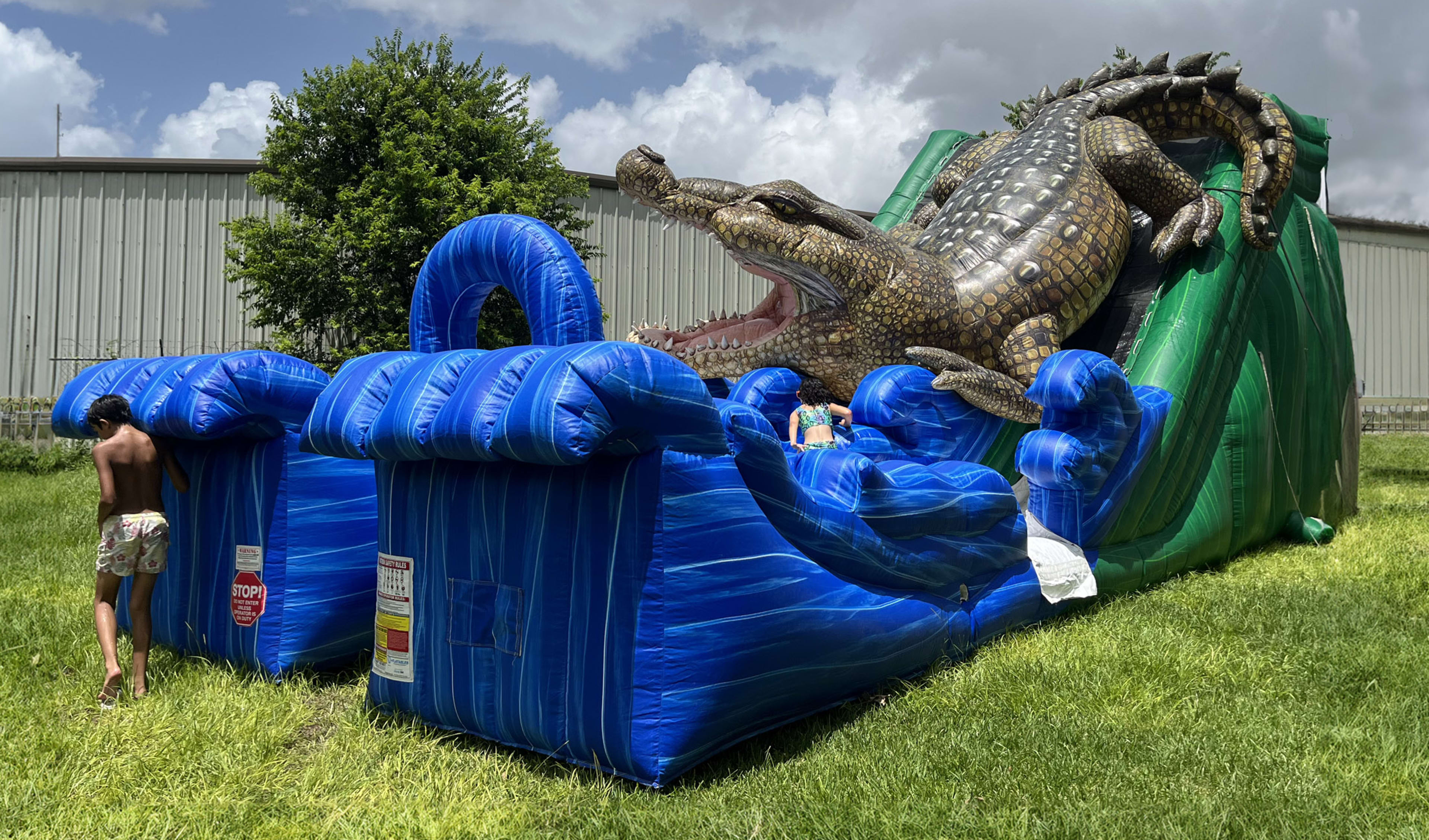 King Croc Water Slide For Rent