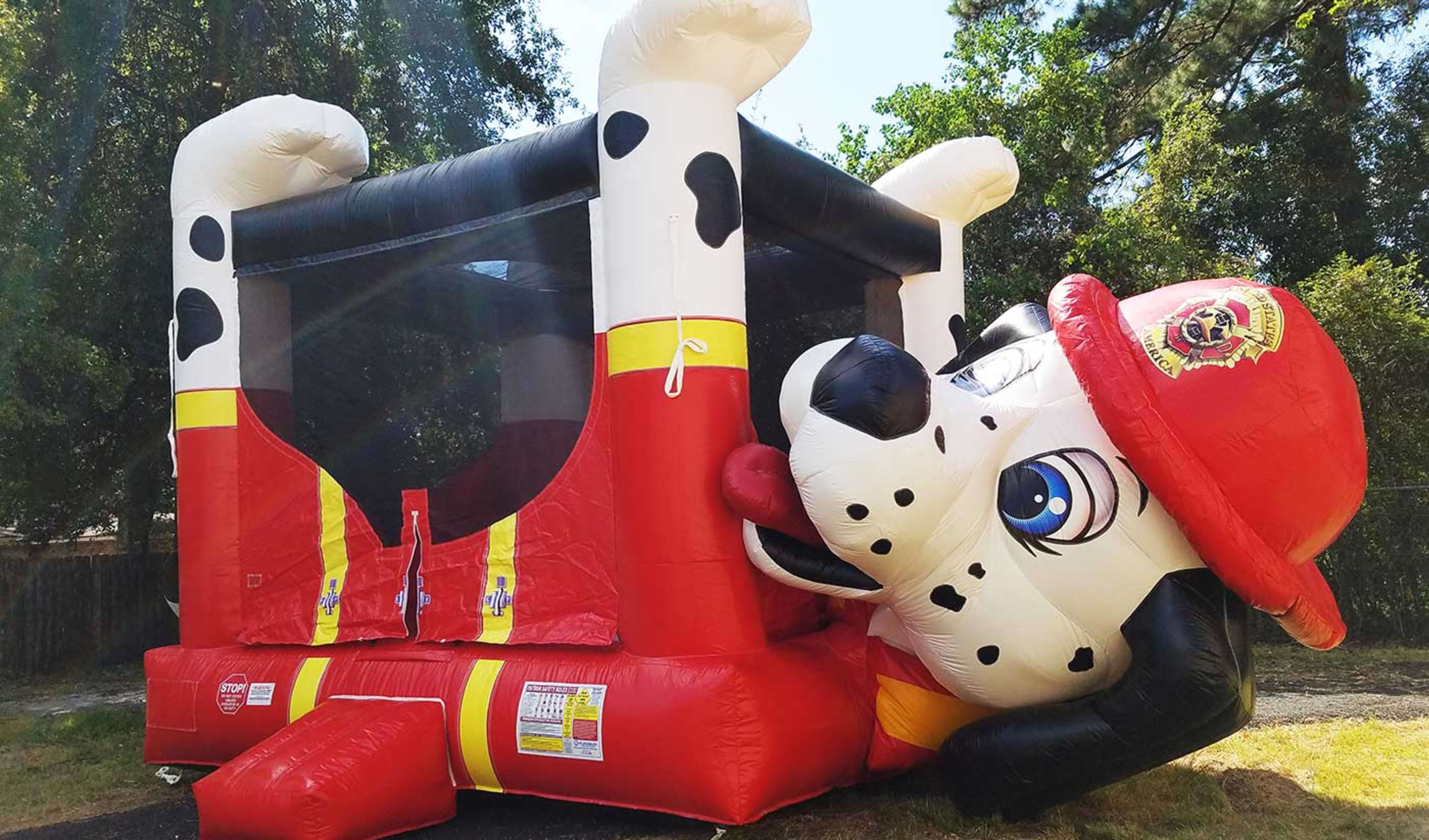 Paw Patrol Party Rentals