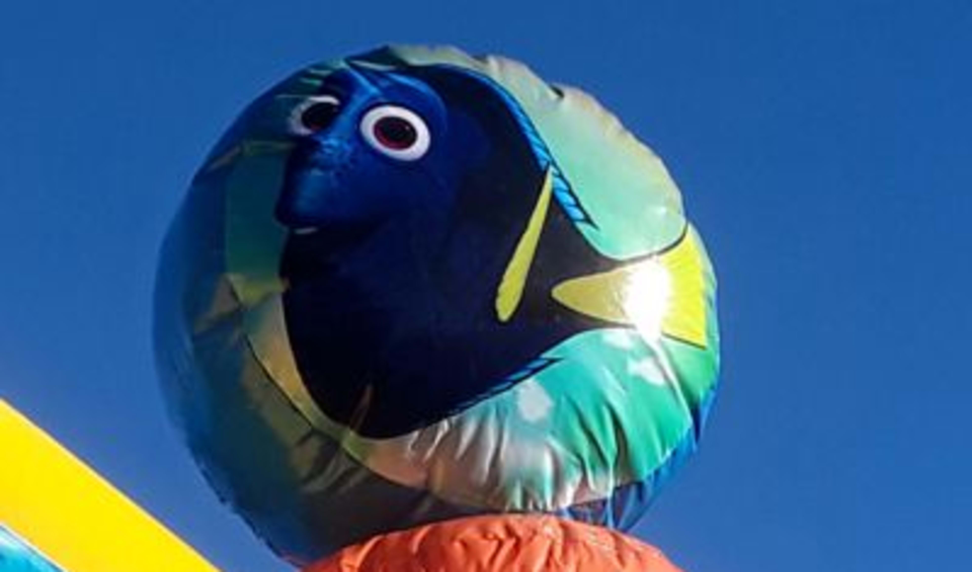 Finding Dory bouncer