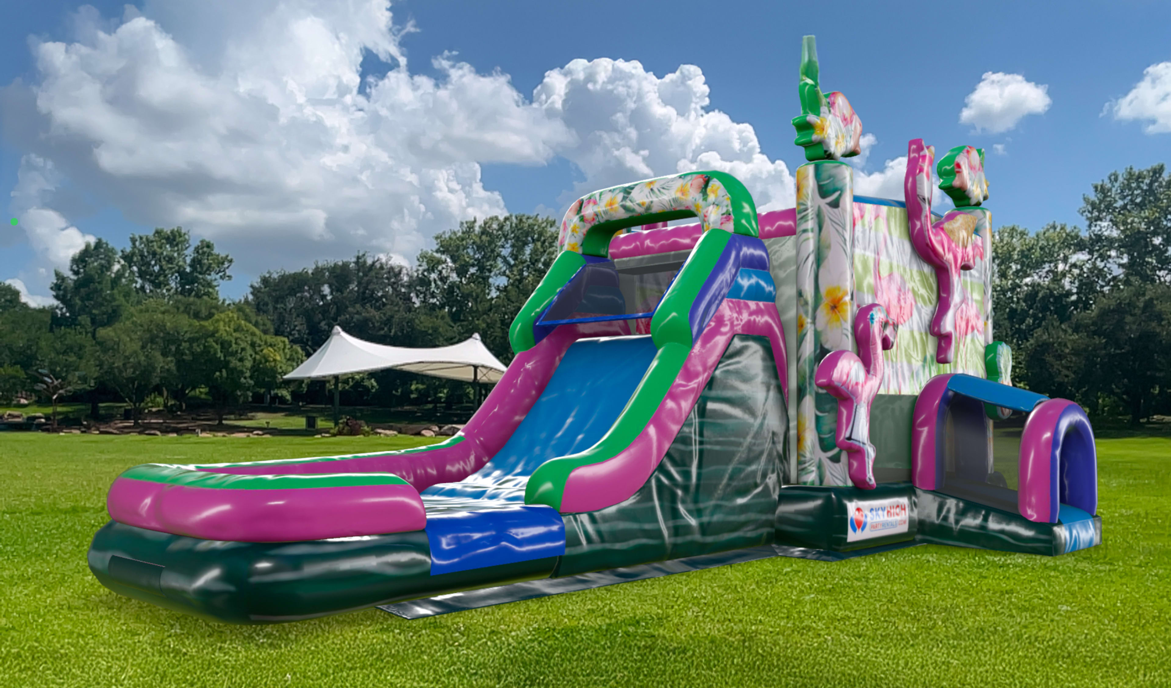 Flamingo Bounce House Combo Rentals