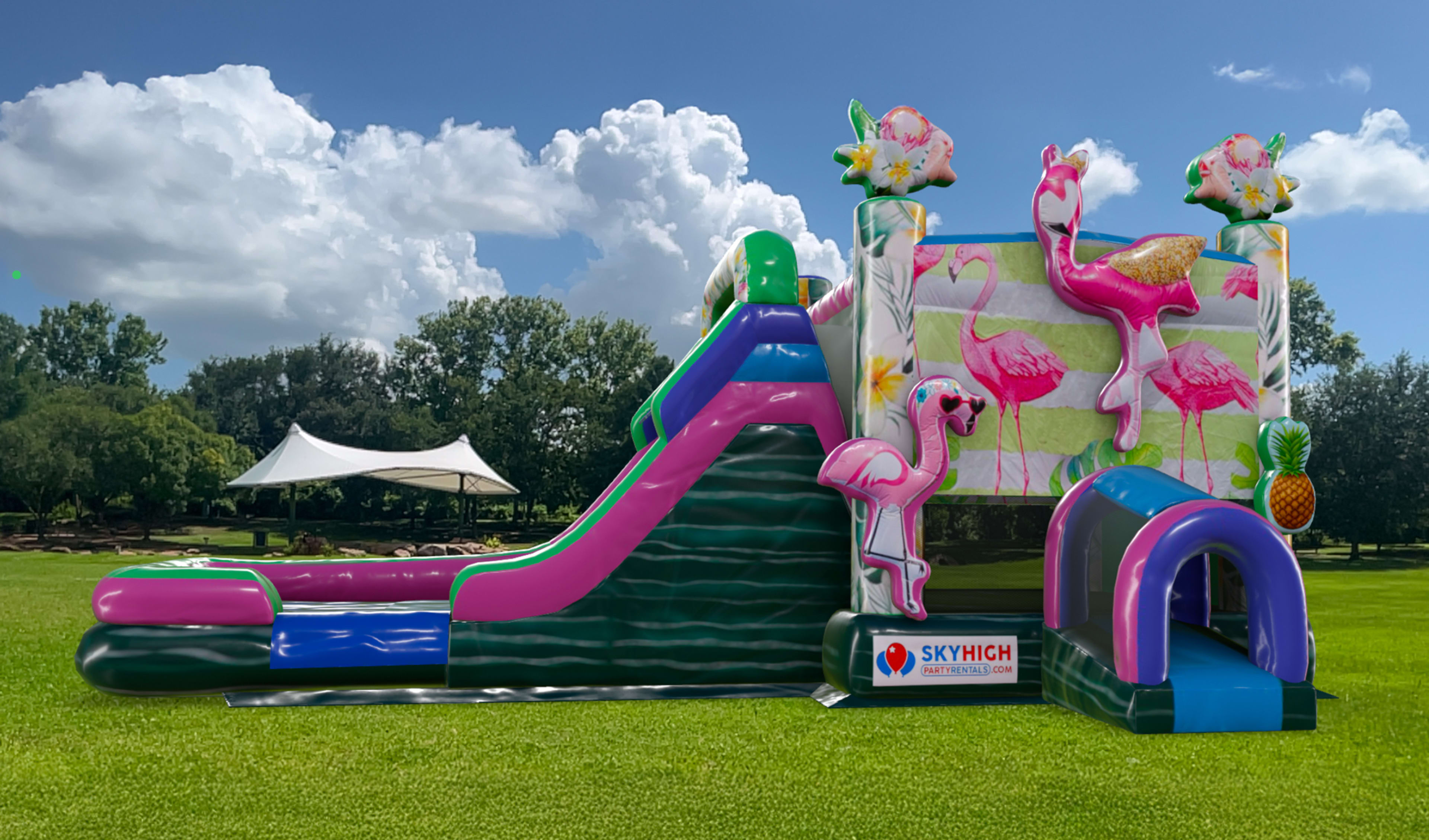 Flamingo Bounce House Combo Rentals on Grass