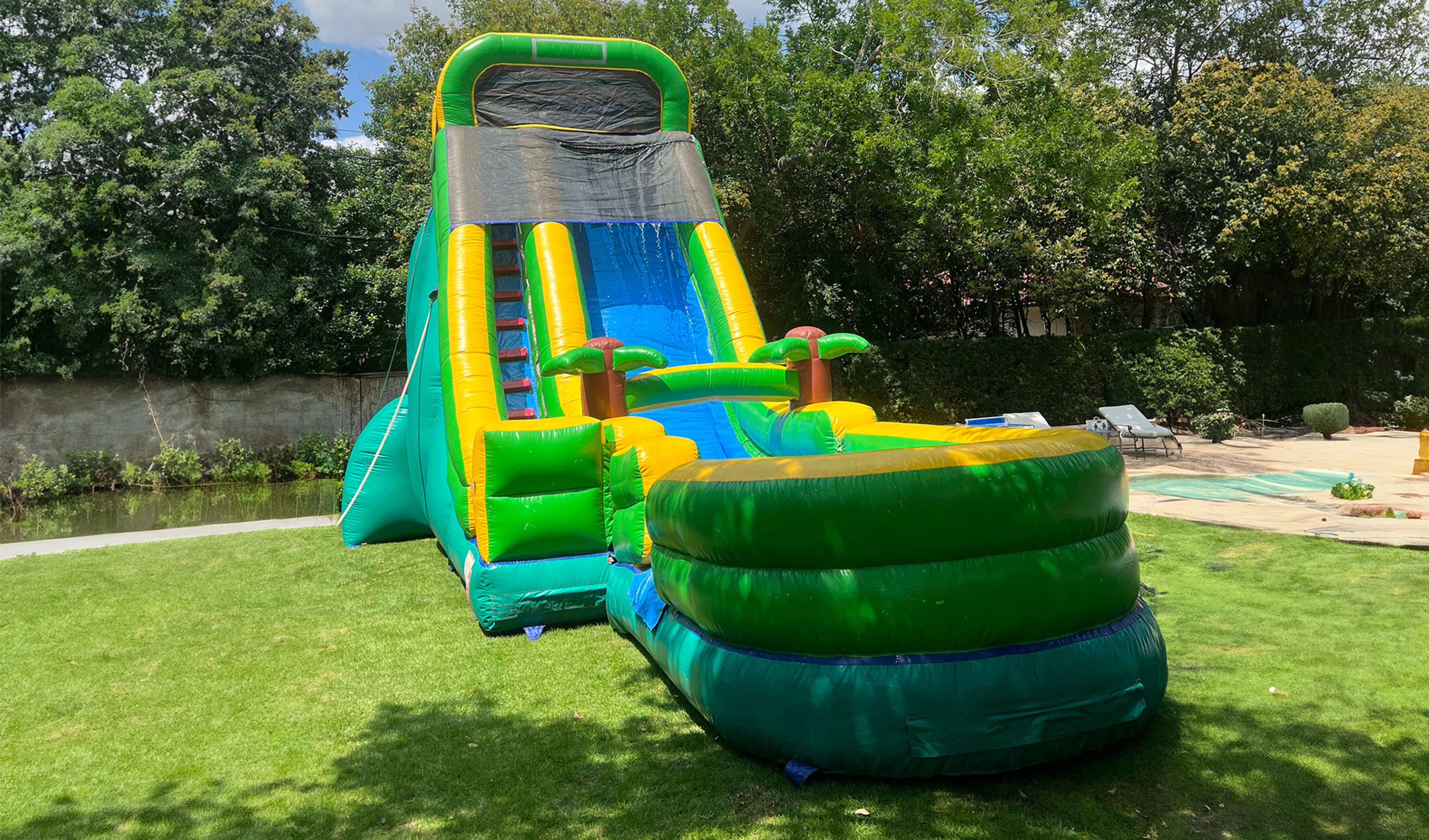 Palm Tree Water Slide