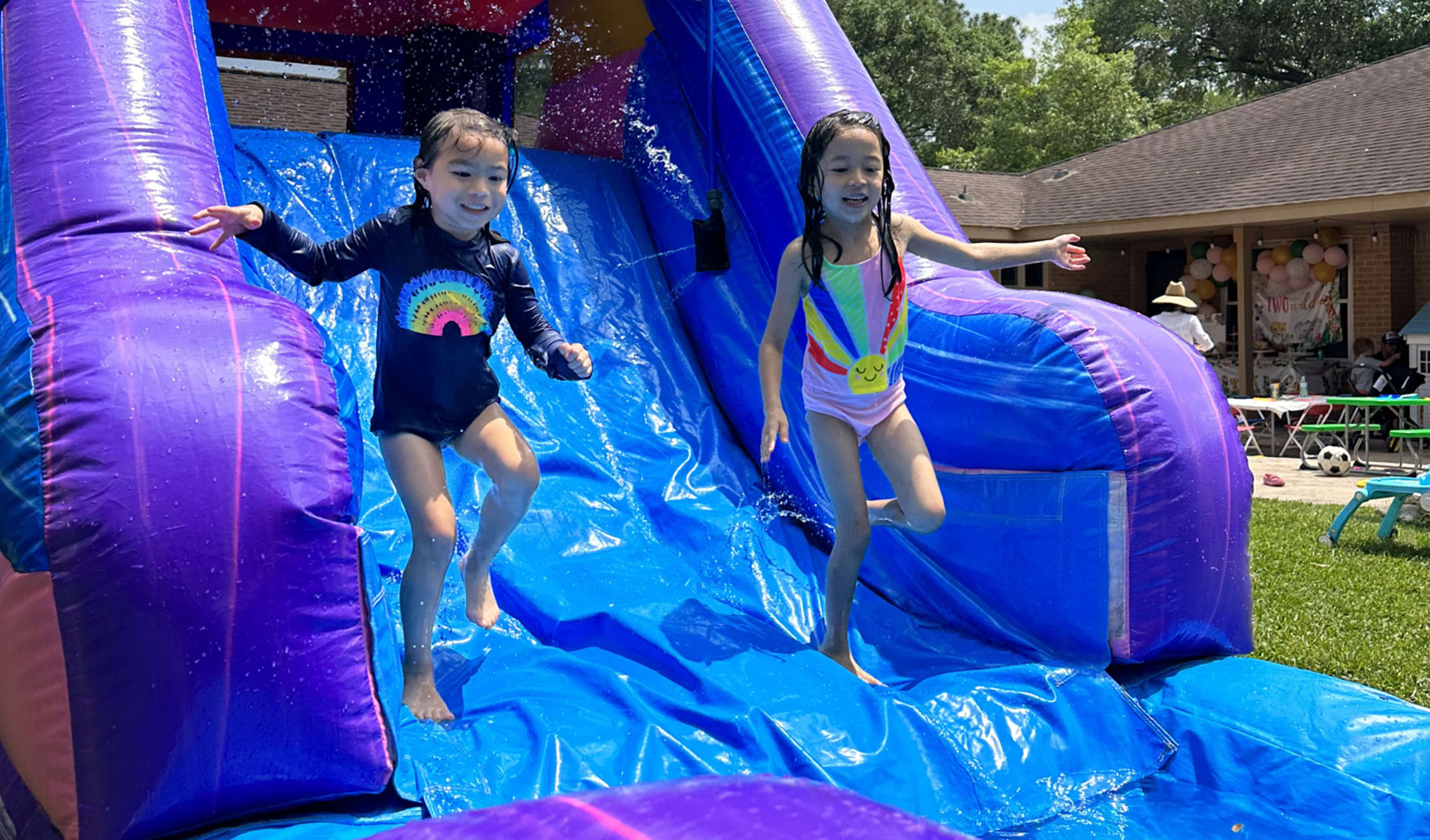 Llama Inflatable Kids Party