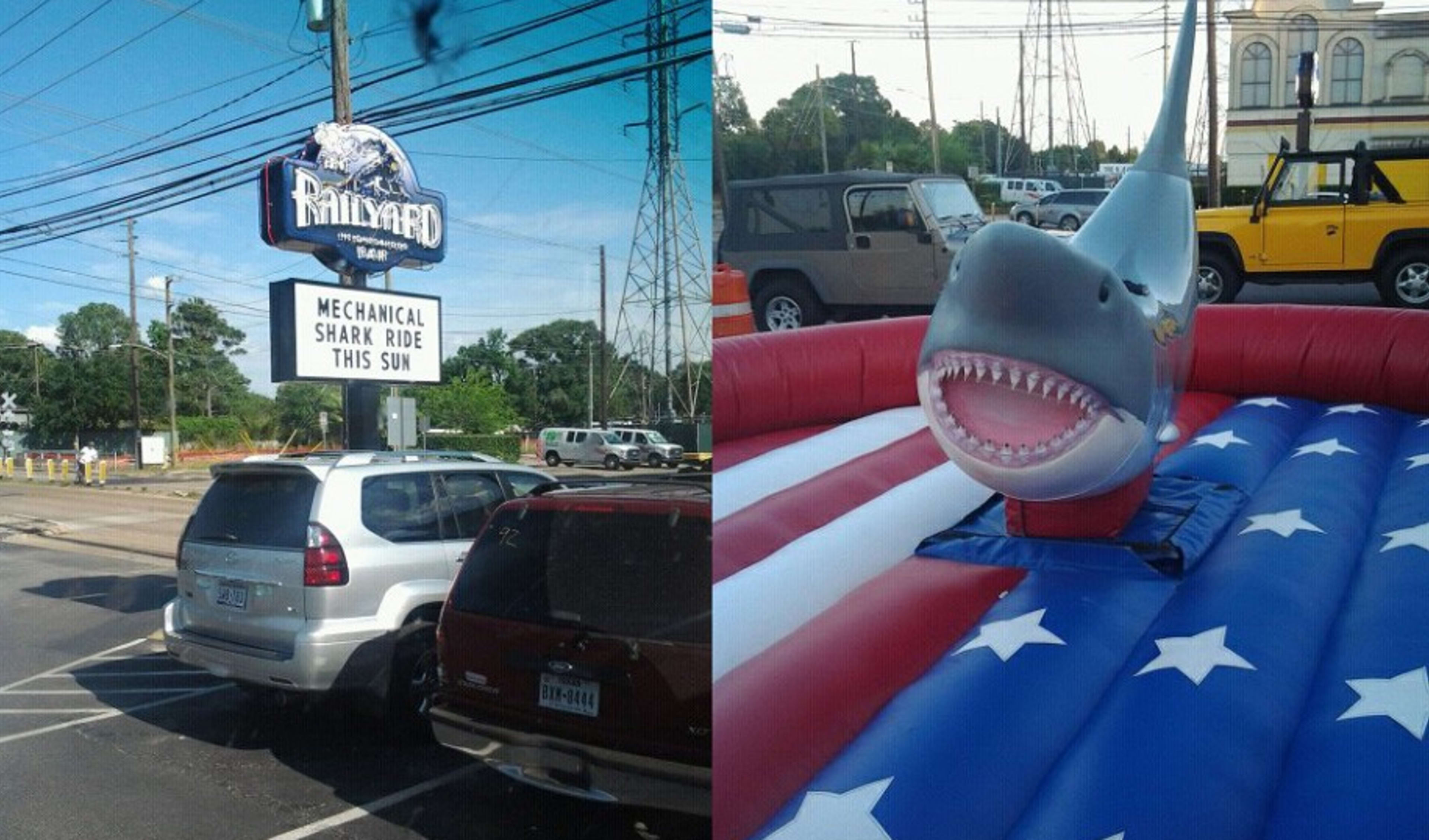 Bar Events Mechanical Shark