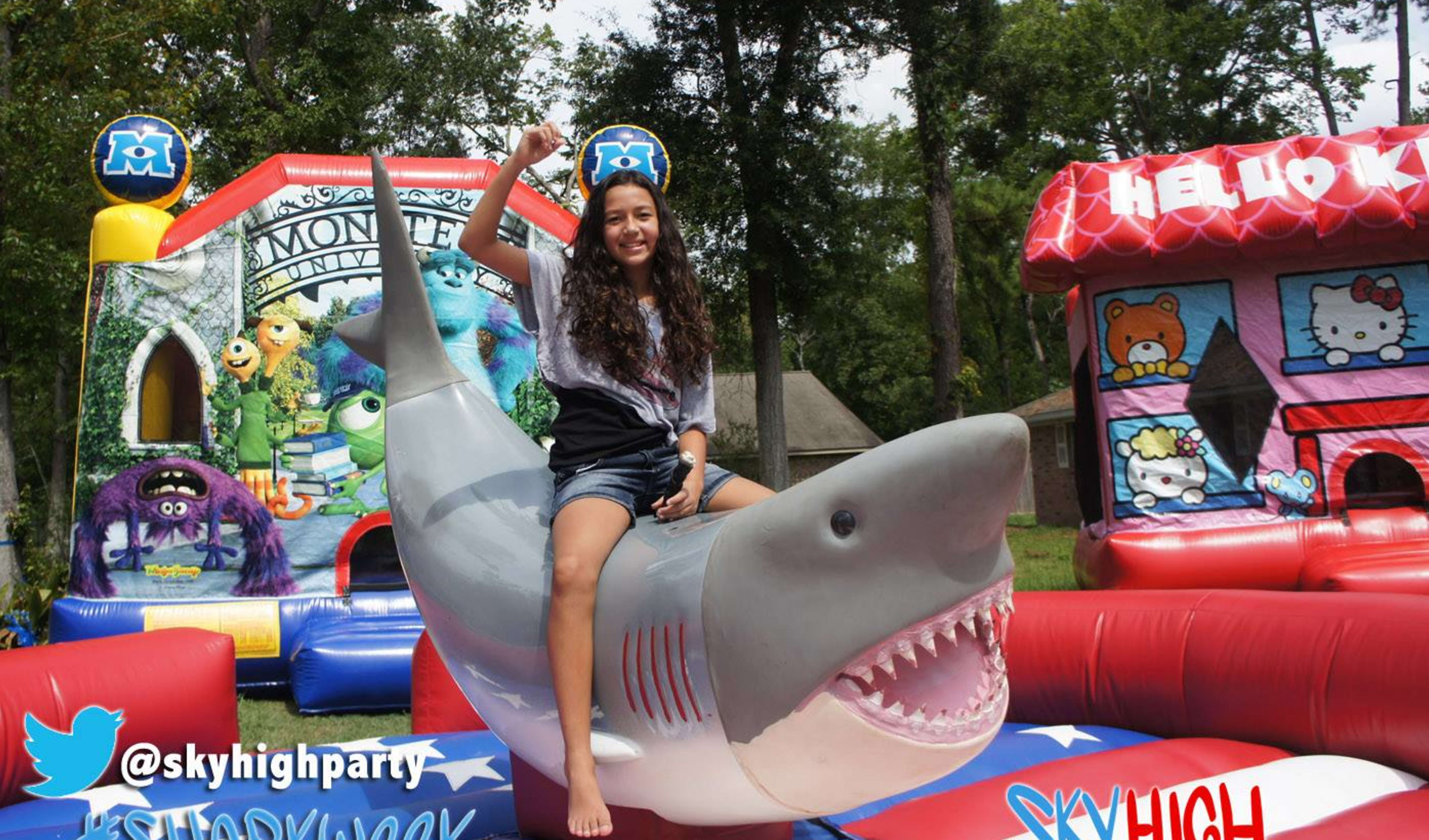 Mechanical Shark For Rent