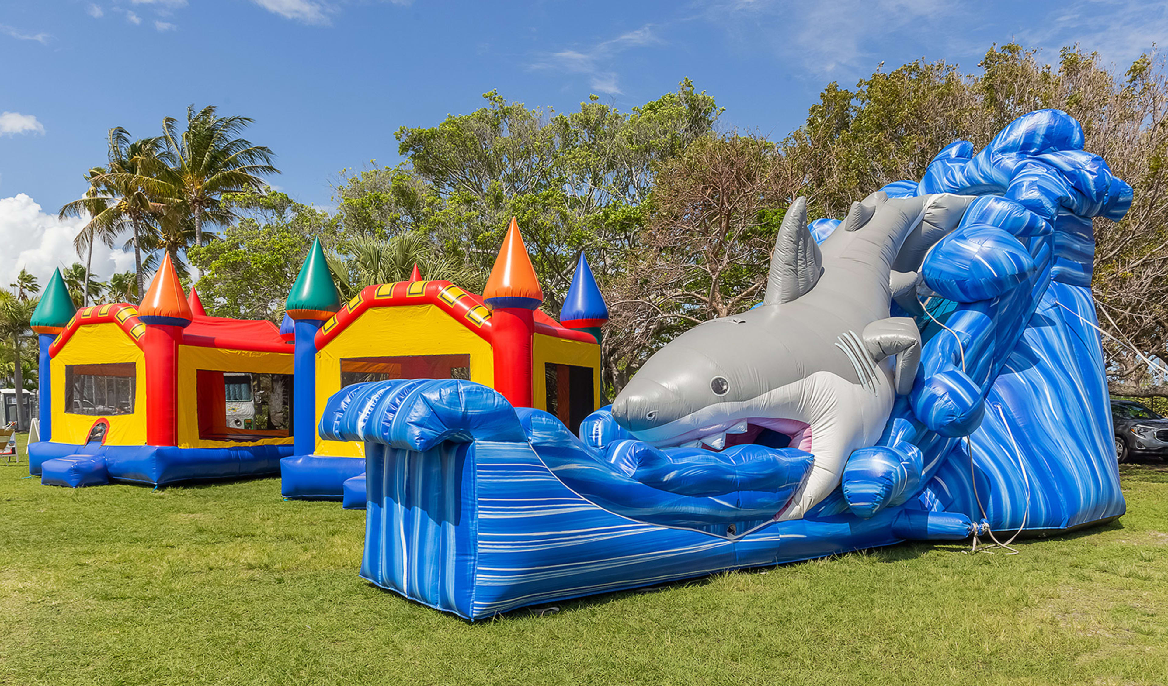 Awesome Bounce House Rentals