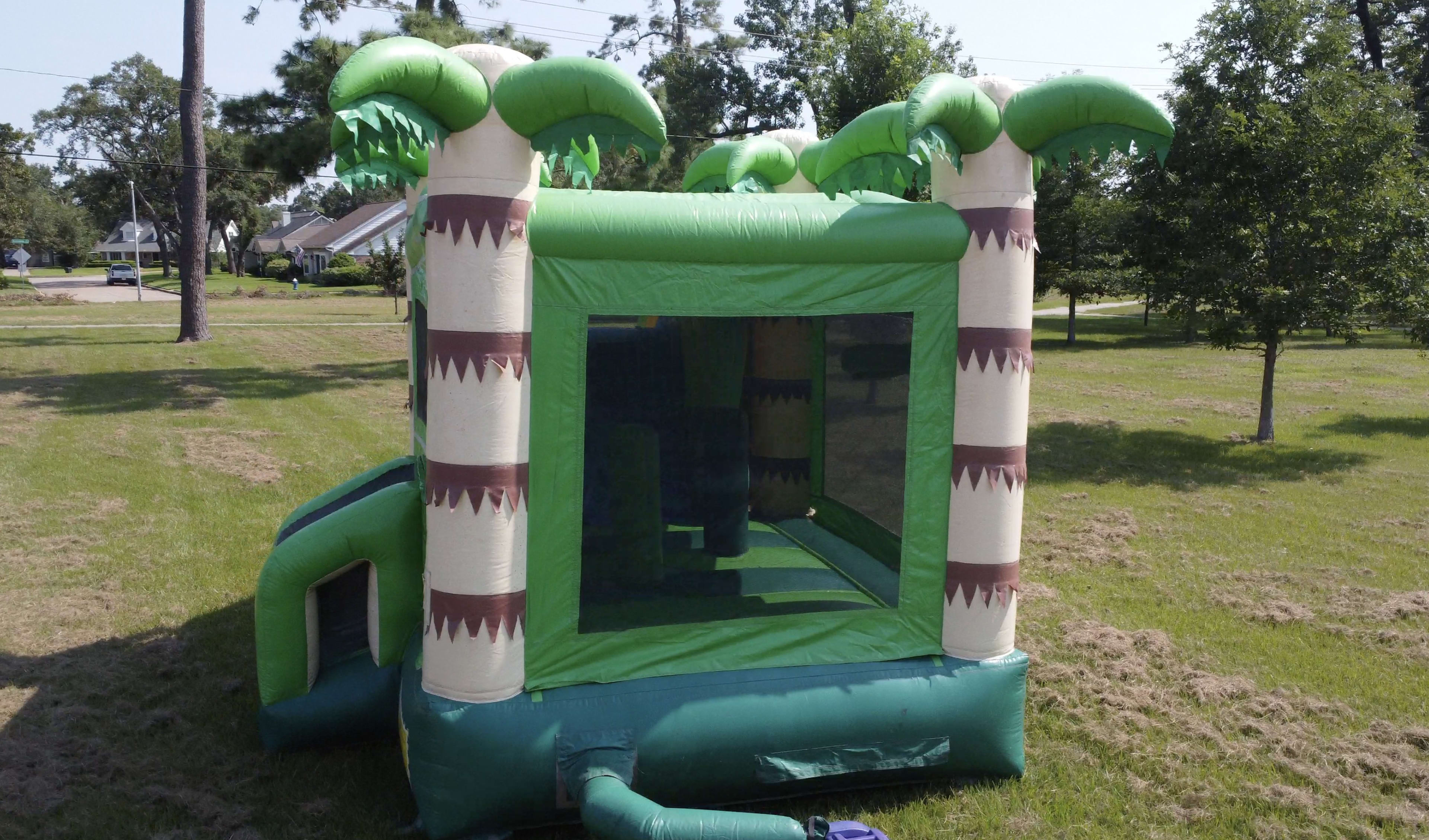 Side View Palm Tree Bounce House