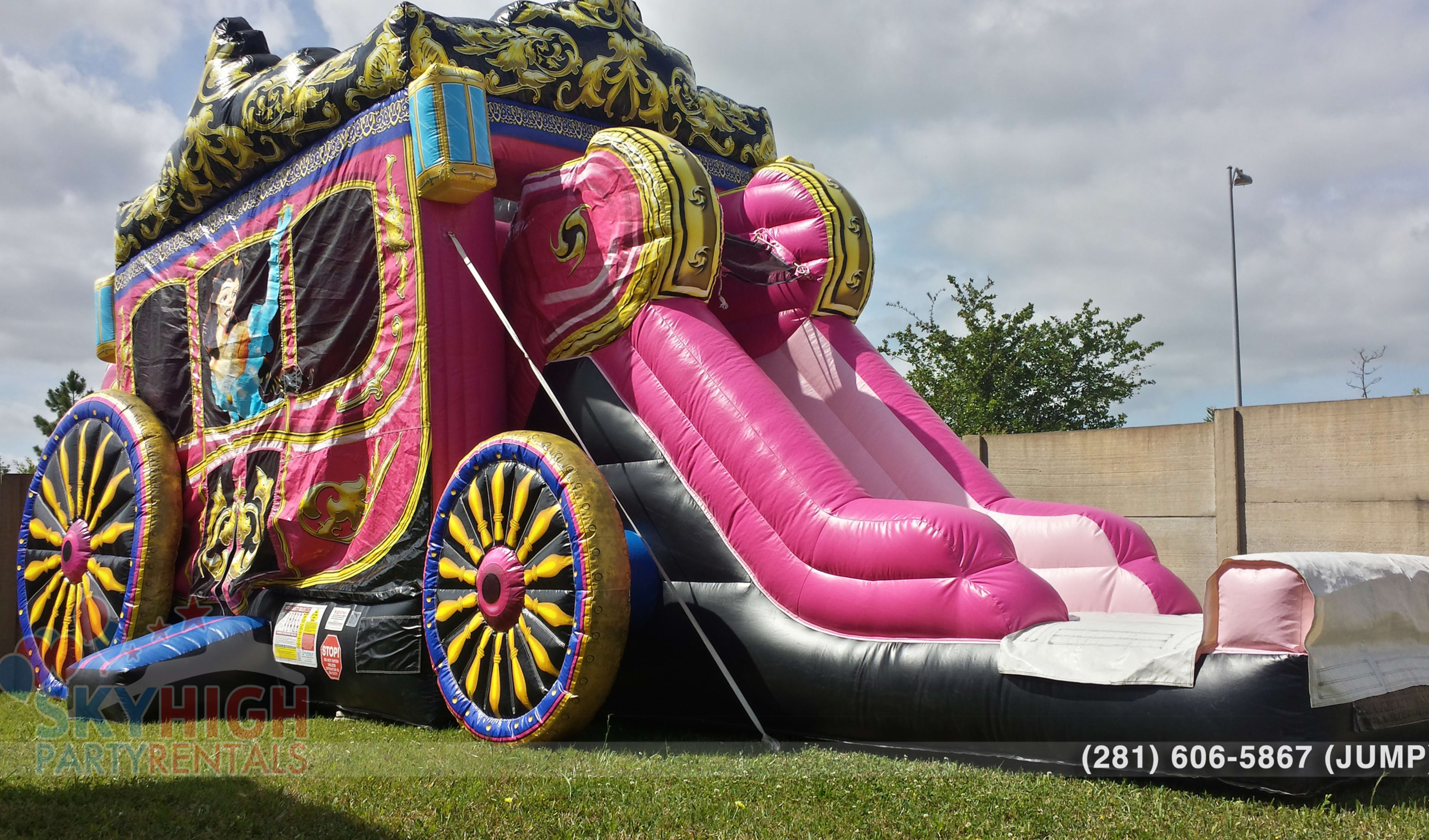 Princess Carriage Moonwalk