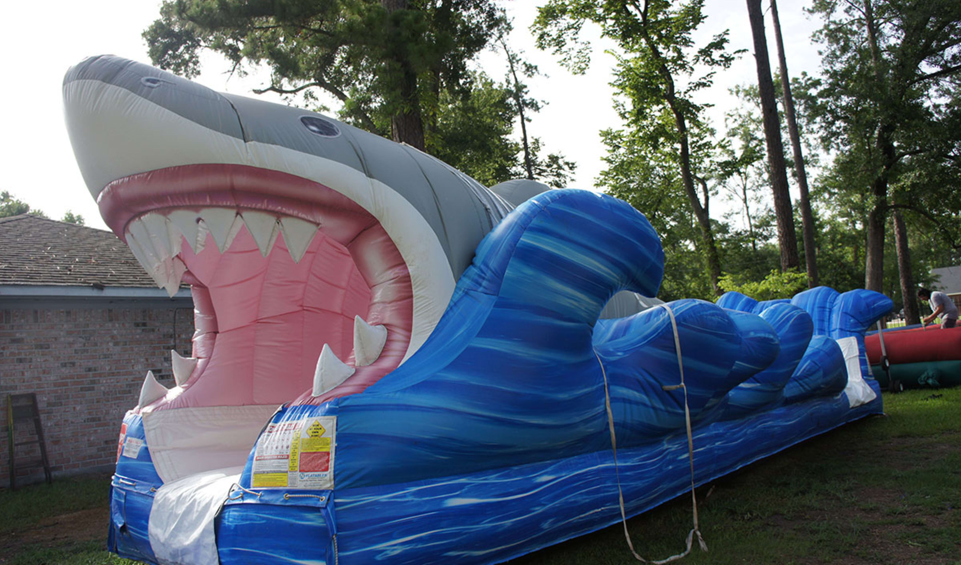 Wet and Wild Shark Party Ideas