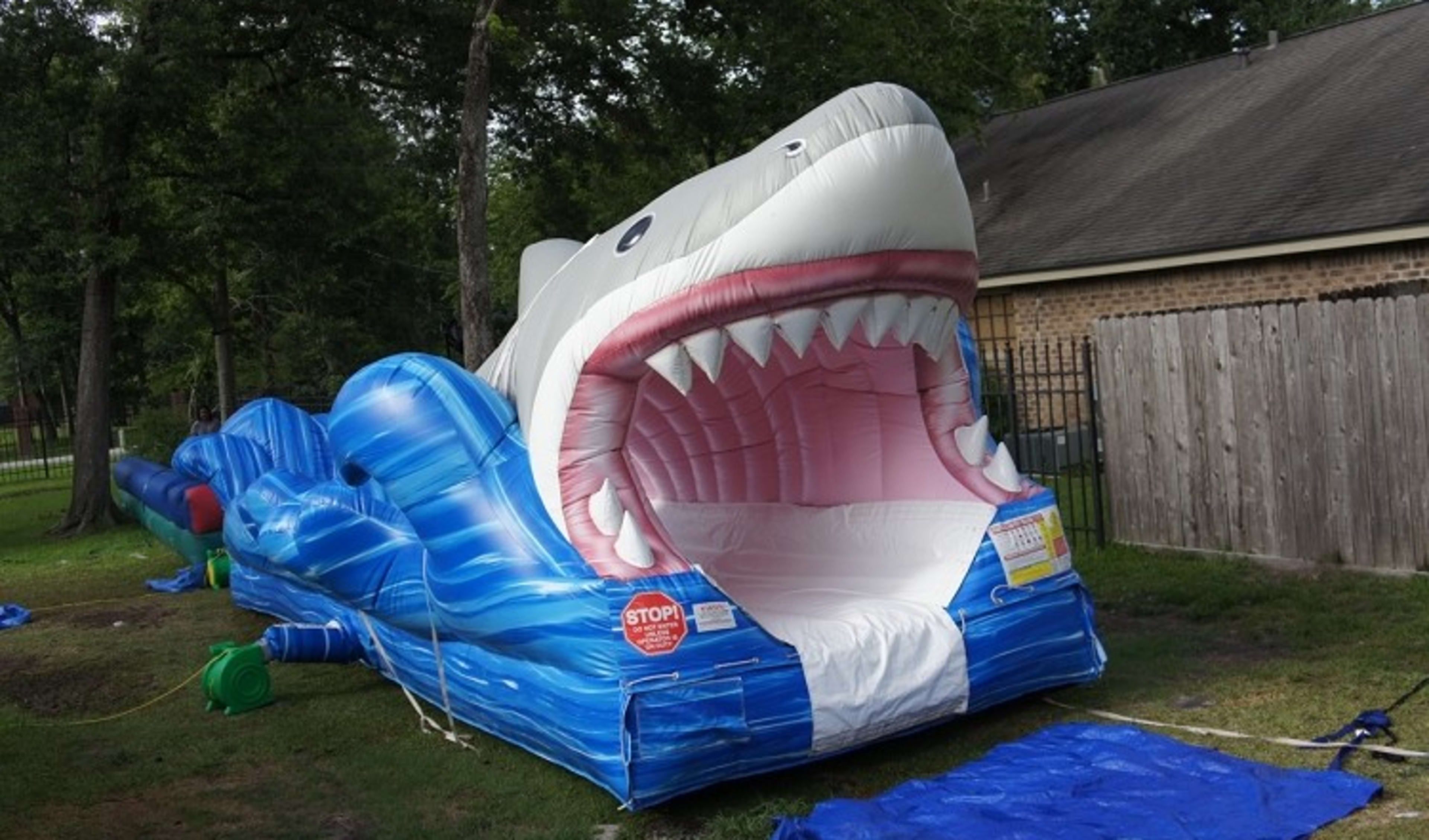 Shark Week Entertainment Rental