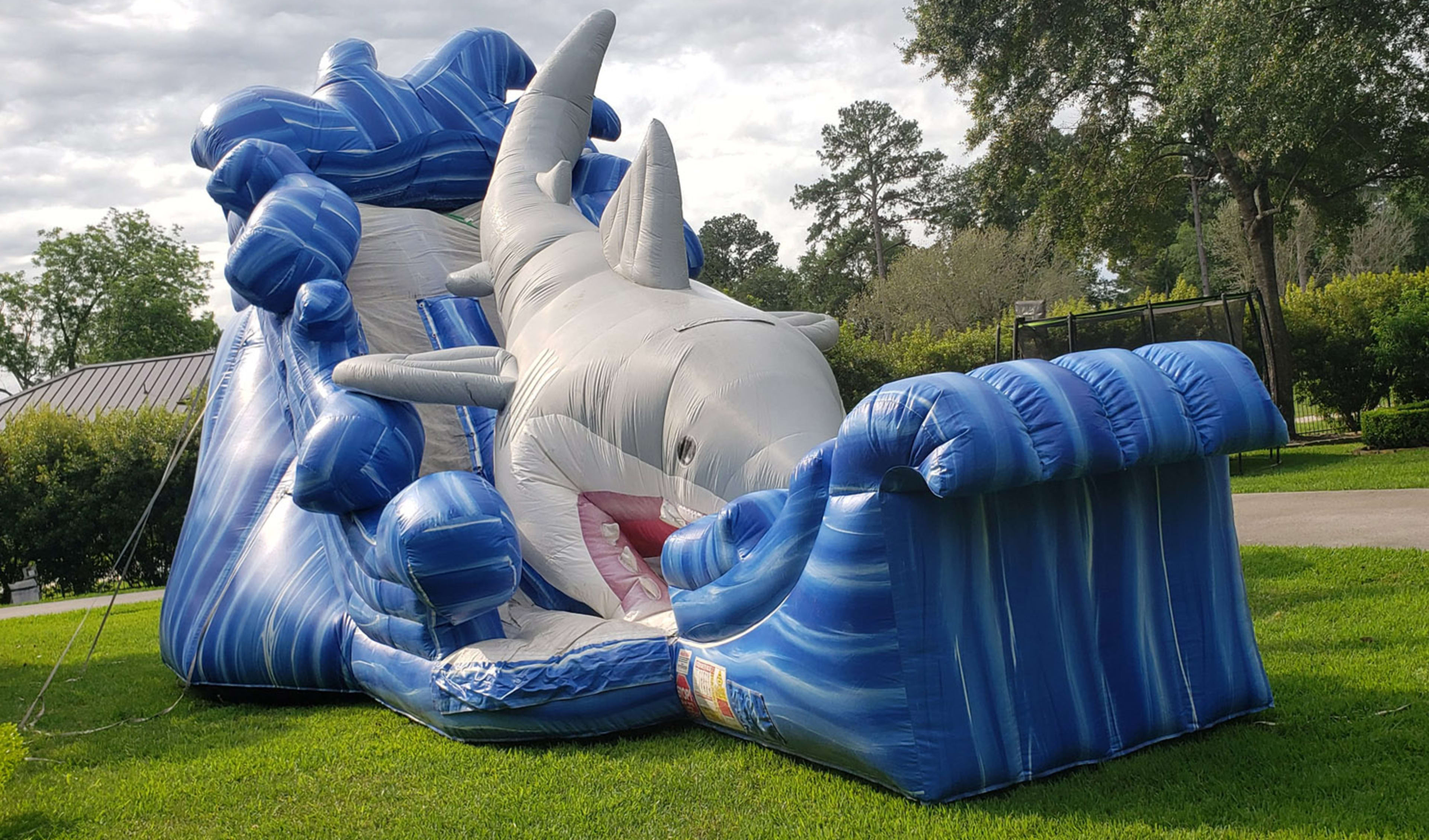 Shark Water Slide inflatable