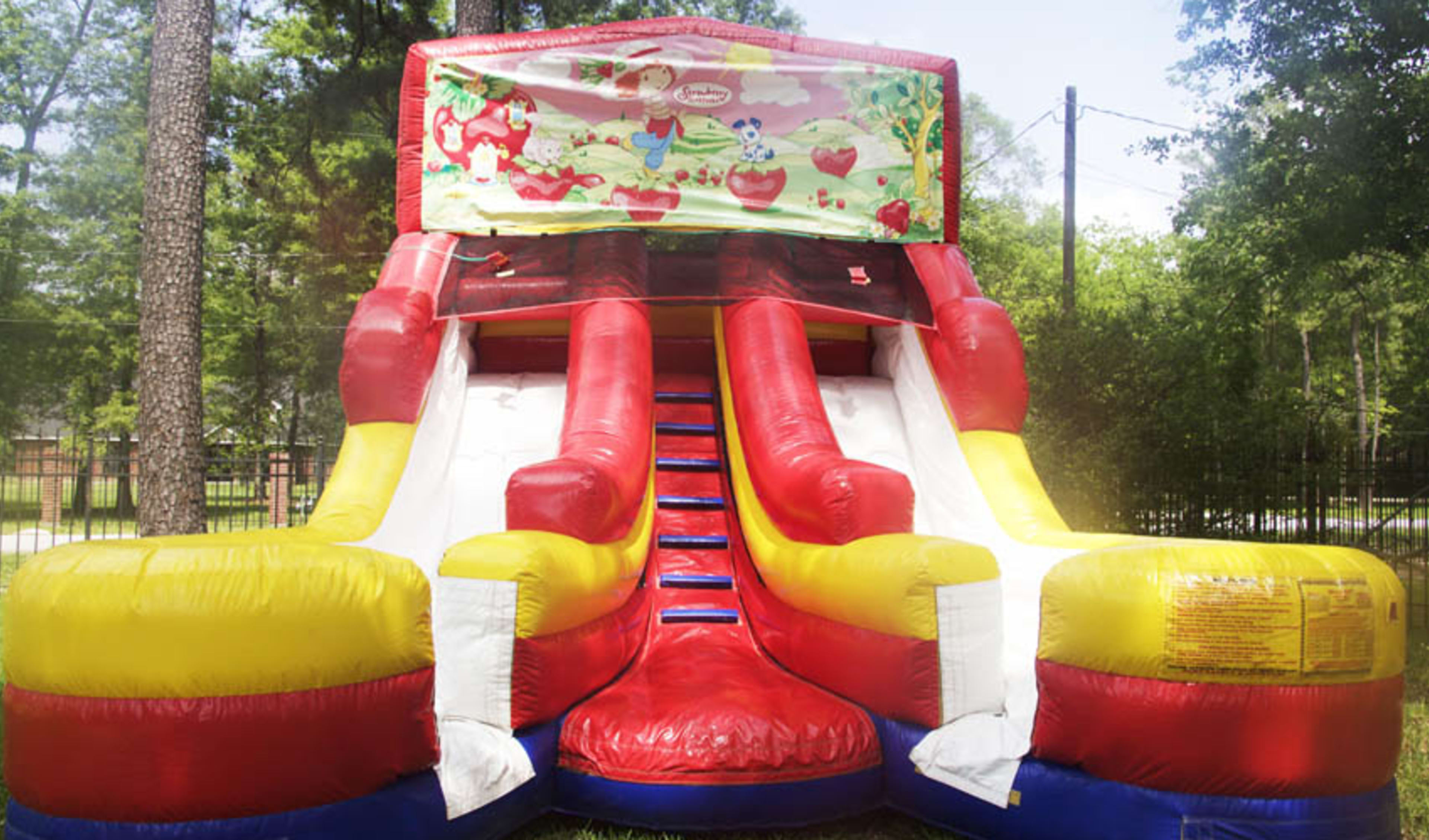 Front View Strawberry Shortcake Slide in Houston