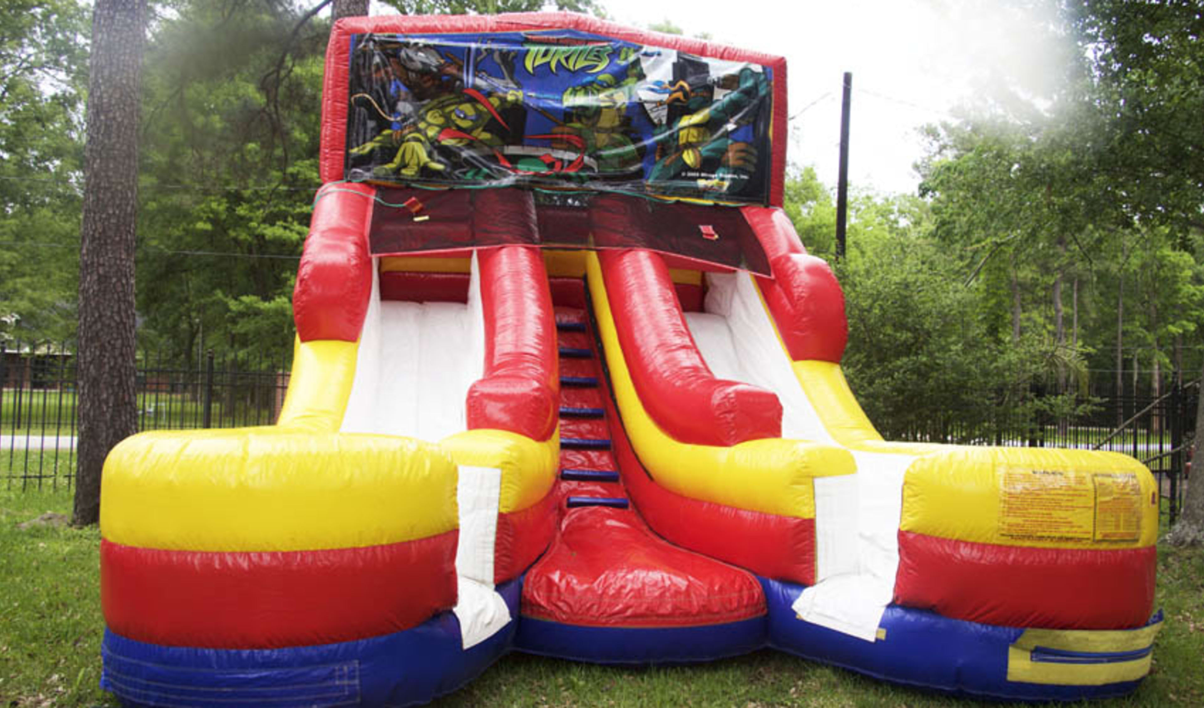 Ninja Turtles Water Slides in Houston