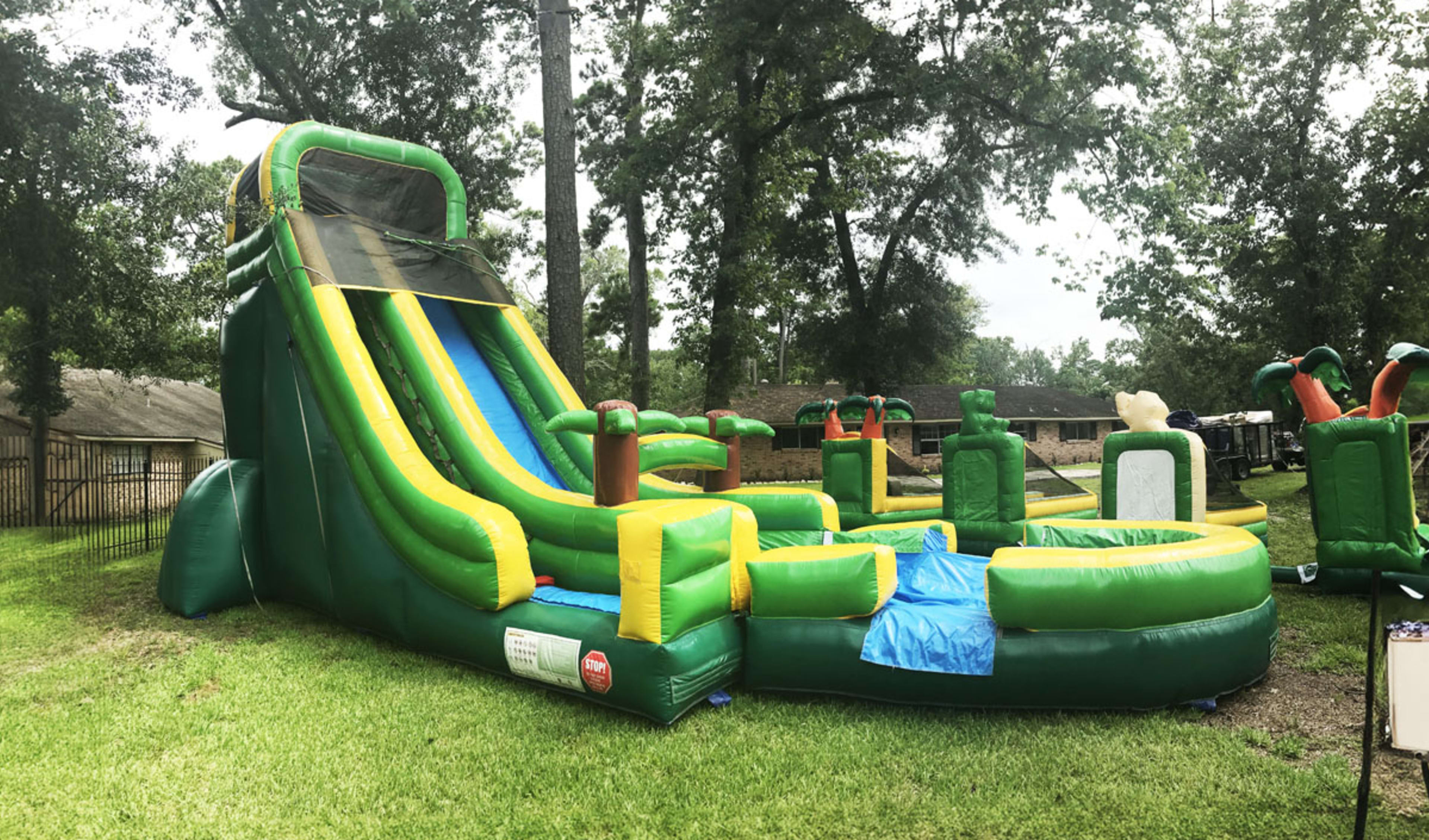 Palm Tree Water Slide For Rent