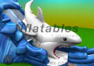 Shark Gone Fishing Slide vimeo 2