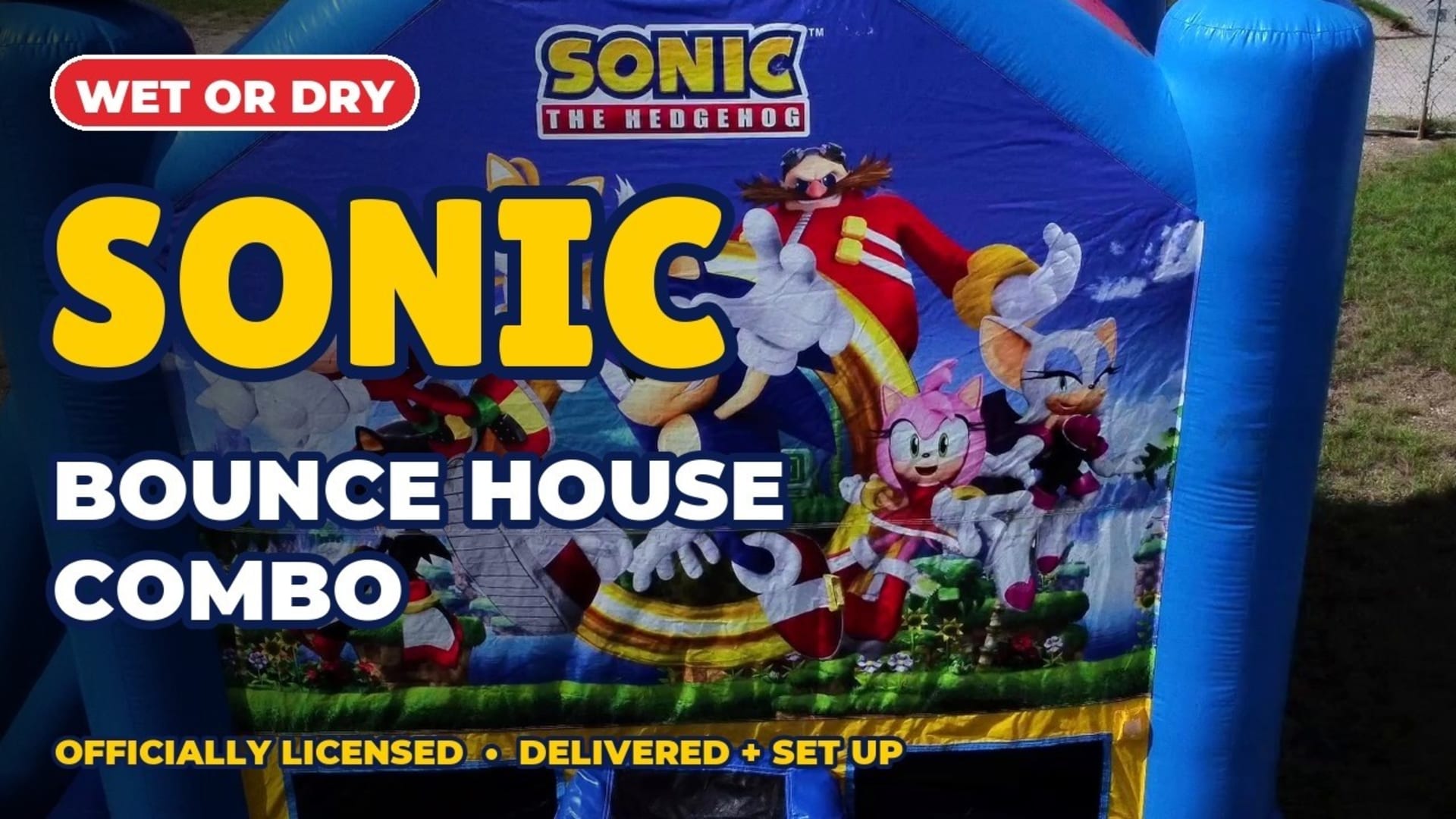 Sonic the Hedgehog EZ Combo Wet or Dry - Video