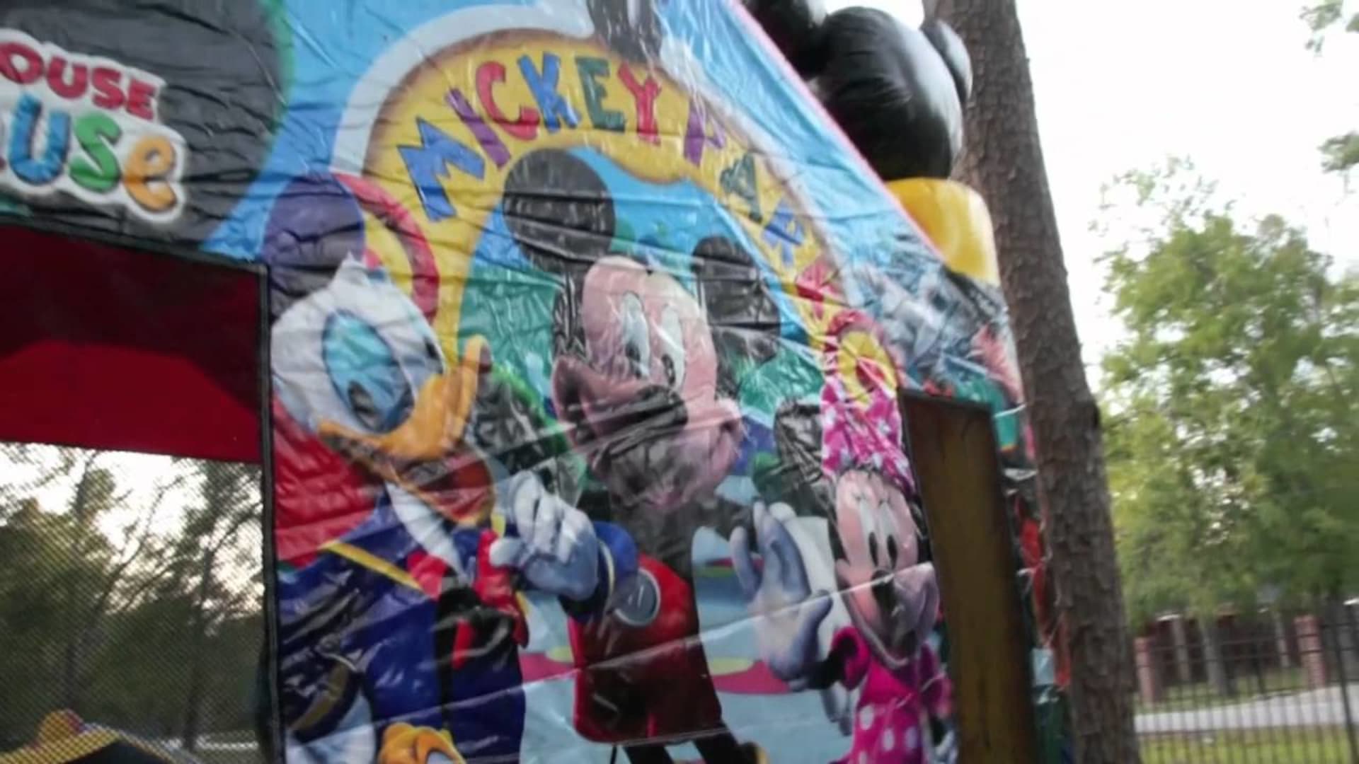 Mickey Mouse Park & Friends - Video