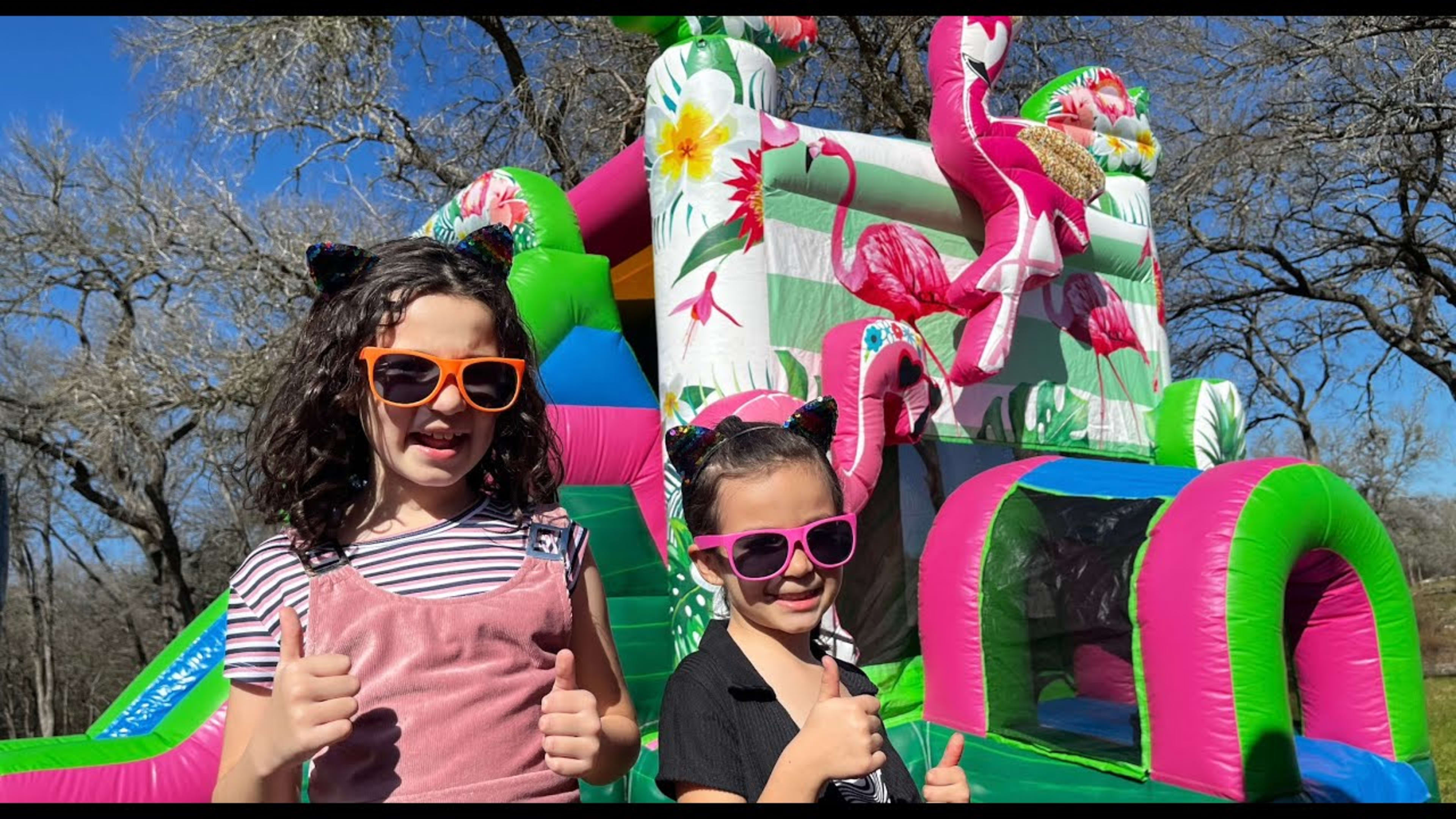 Flamingo Bounce House Combo w/ (Dry or Wet/Water Slide) - Video