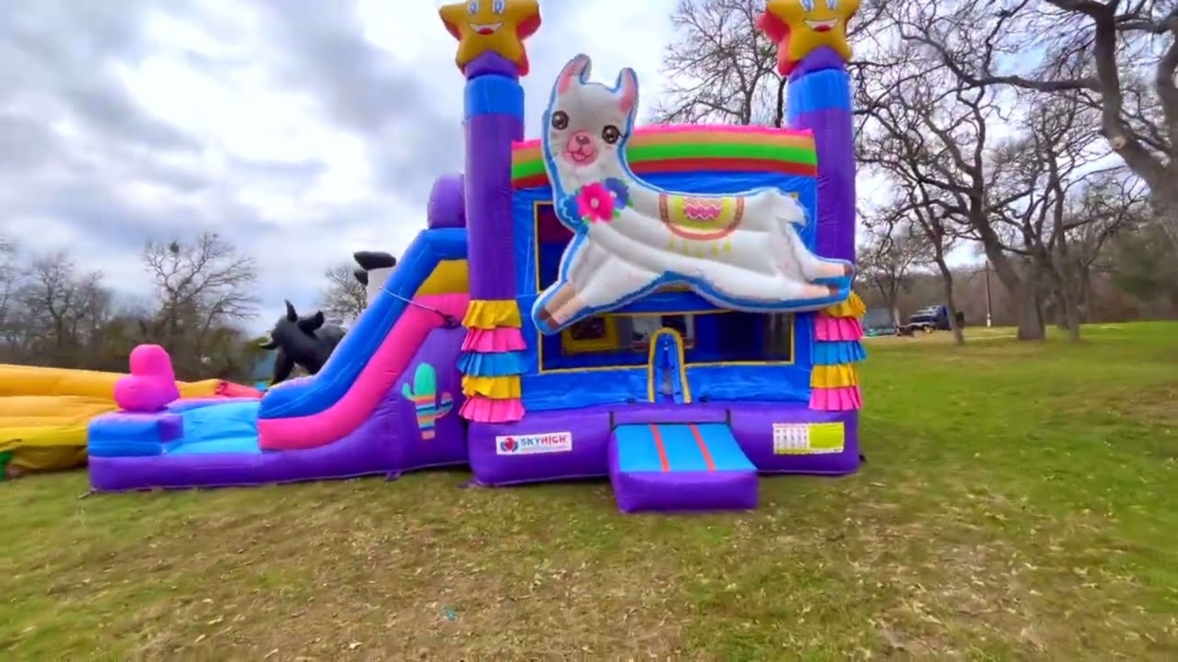 Llama Bounce House Combo w/ (Dry or Wet/Water Slide) - Video