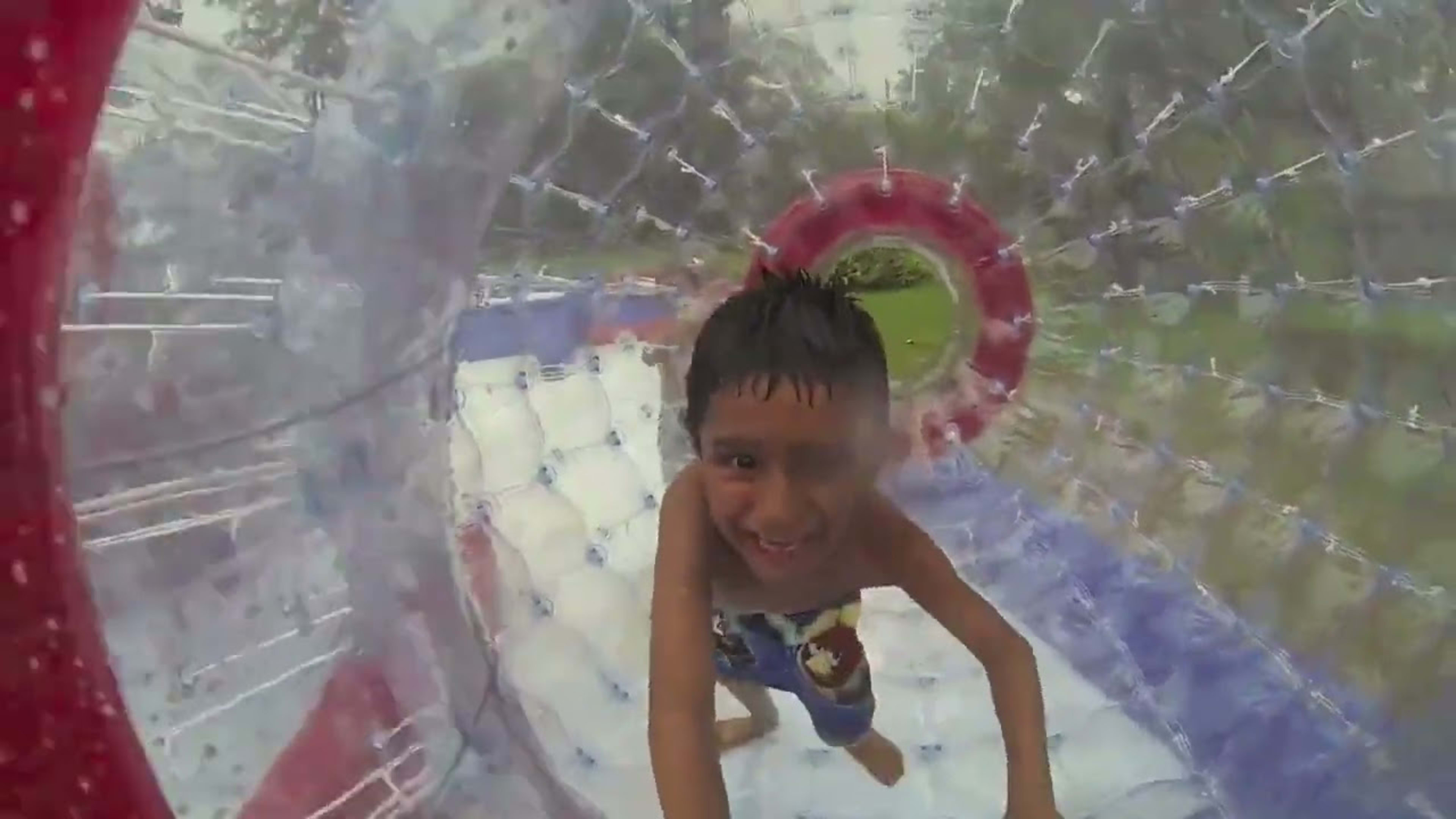 Hamster Ball Collision Course - Video