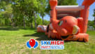 Tiger Bounce House Youtube