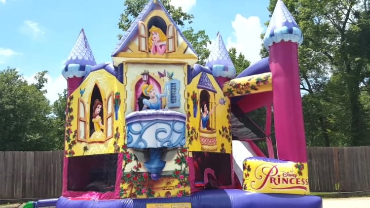 USA Disney Princess Inflatable Slide | Sky High Party Rentals
