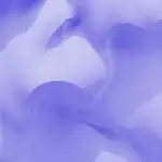 Lasso