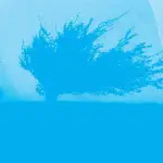 Who Has Seen The Wind?