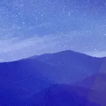 Gratitude 100: Stars