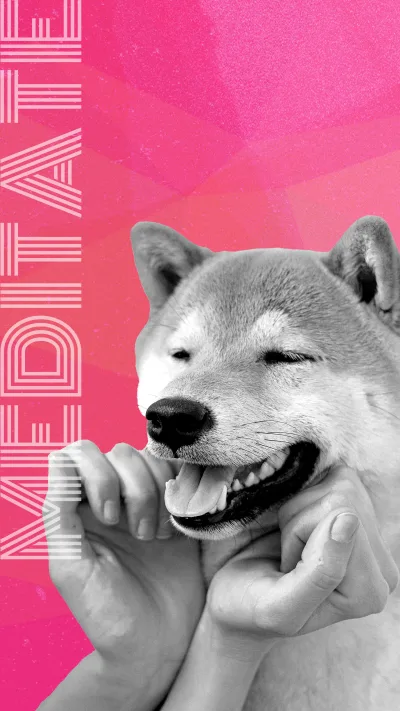 A brief mindfulness exercise you can do with your pet to lower your stress