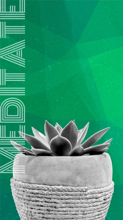 A brief mindfulness exercise you can do with a plant to lower your stress