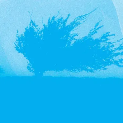 Who Has Seen The Wind?