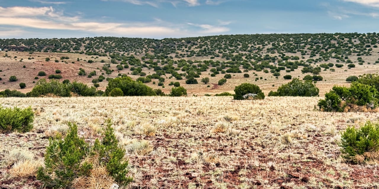 1.04 acres in Concho, Arizona