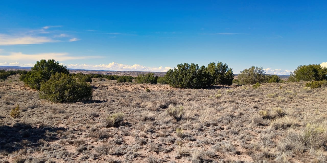 1 acre in Sanders, Arizona