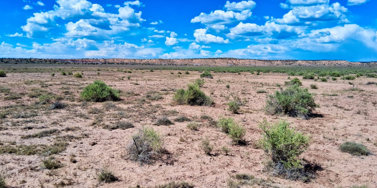 1 acre in Sanders, Arizona