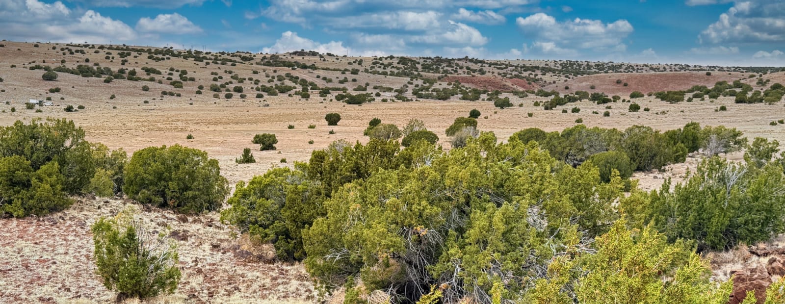 1.02 acres in Concho, Arizona