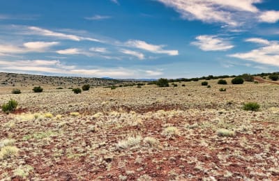1.04 acres in Concho, Arizona