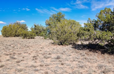 1 acre in Sanders, Arizona