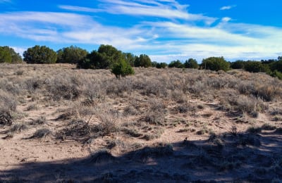 1 acre in Sanders, Arizona