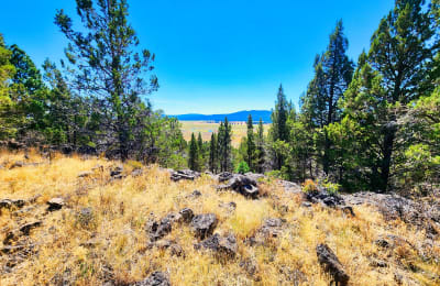 Wide view of open high desert land with scattered juniper near Sprague River, Oregon