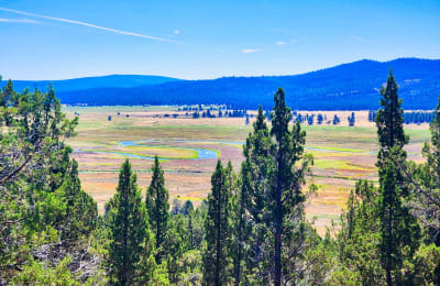 Wide view of open high desert land with scattered juniper near Sprague River, Oregon