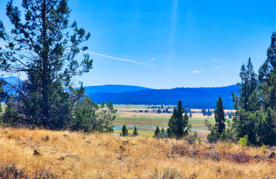 Wide view of open high desert land with scattered juniper near Sprague River, Oregon