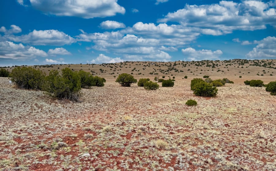 1.02 acres in Concho, Arizona