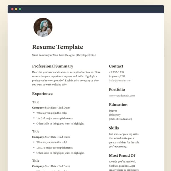 Professional Resume Template