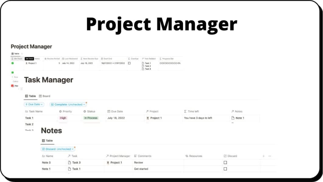 Project Manager