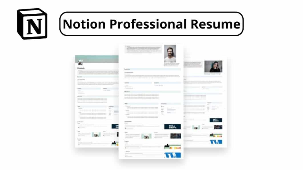 Notion Professional Resume